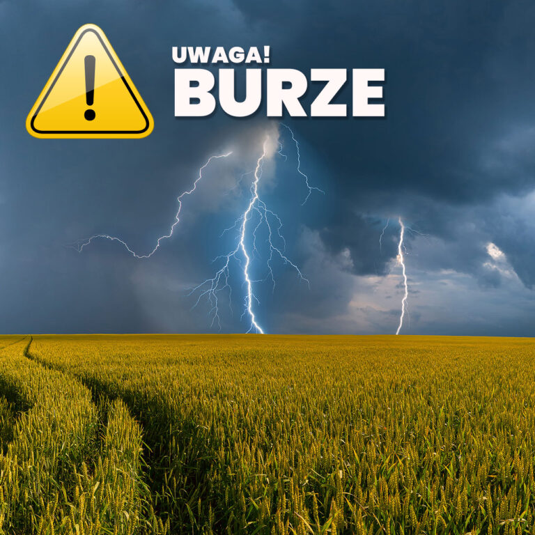 Uwaga na burze w tle znak z wykrzyknikiem i napis, poniżej piorun, w dolnej części pole ze zbożem