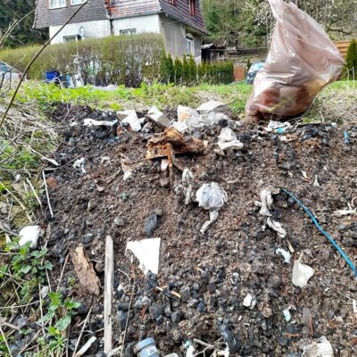 Wielkie sprzątanie i owocowy sad na światowy dzień ziemi