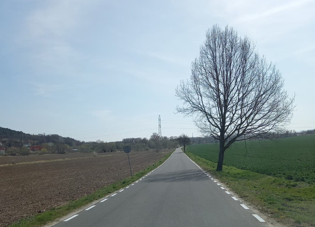 Linie krawędziowe przy drodze gminnej