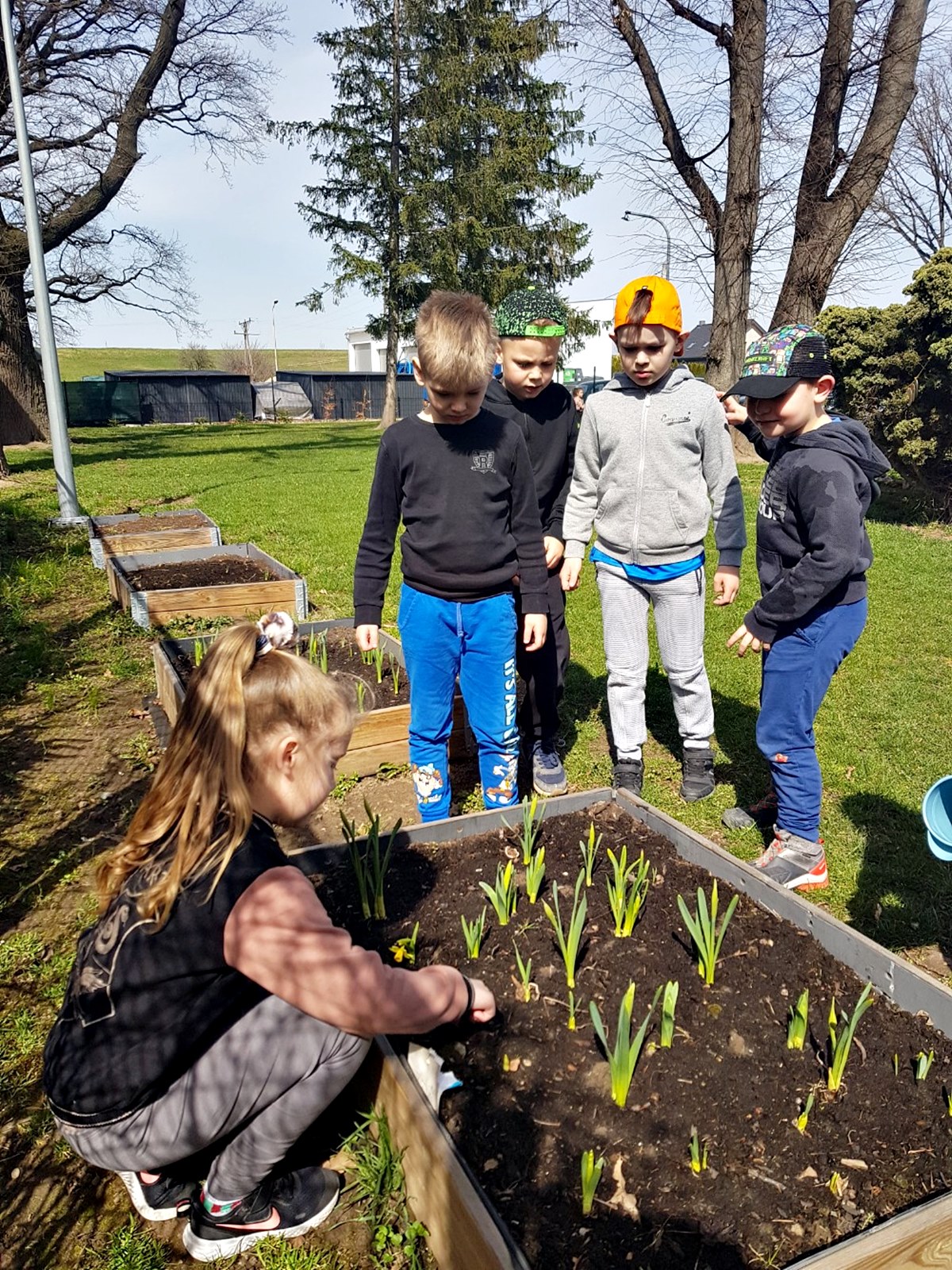 Przedszkole z Bystrzycy Dolnej pielęgnuje ogródek