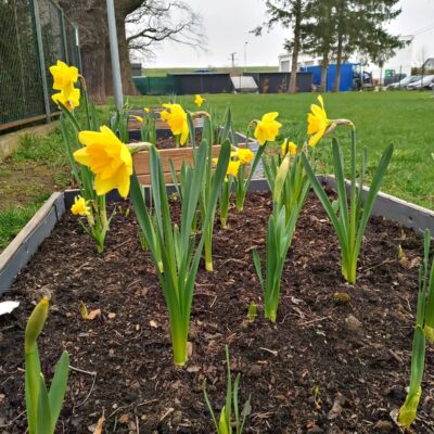Przedszkole z Bystrzycy Dolnej pielęgnuje ogródek