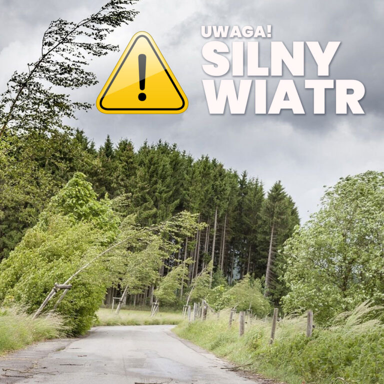 silny wiatr, pochylone drzewa, znak graficzny z wykrzyknikiem