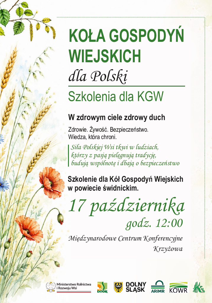 infografika plakat szkoleniowy dla KGW