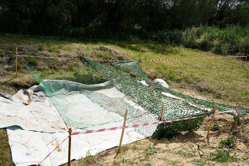 bieg spryciarzaUG 04484