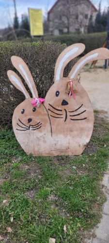 655573414 1396285645829642 7007520886113403918 n