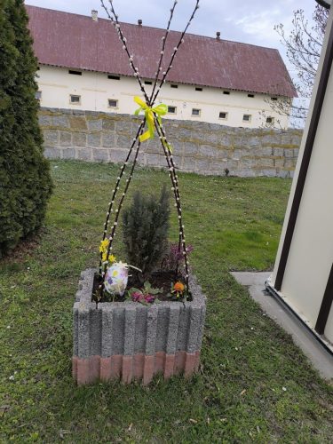 655996574 1396278779163662 2477246783031859724 n