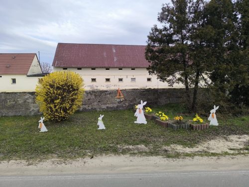 656140958 1396278719163668 5925909418707173920 n