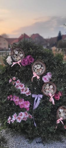 657100763 1396282532496620 1158167050848961433 n