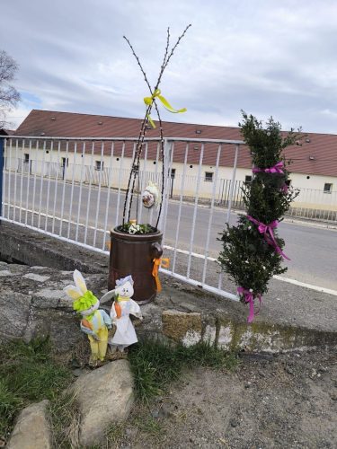 657250646 1396278745830332 1234729369124858572 n