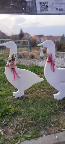 657326830 1396281695830037 4578345434833353245 n