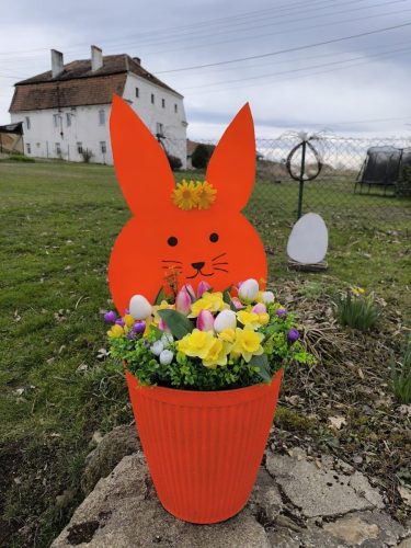 657358996 1396285745829632 2818785131890058250 n