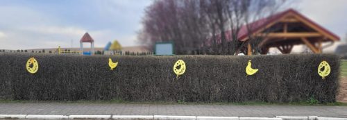 657828457 1396278419163698 7650591223515739597 n