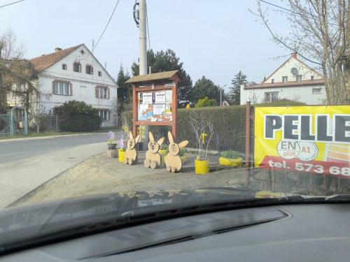 659219595 1396287062496167 5437603216587644168 n