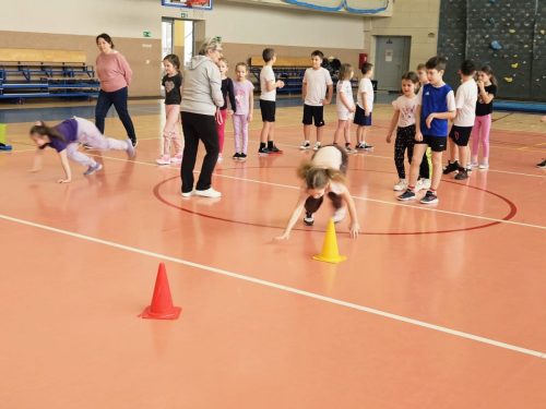 3aa78cee-6c44-4302-9aa6-495a087a200a