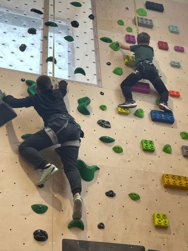 3d8af4f1-3317-4835-85d8-7265876cdd99