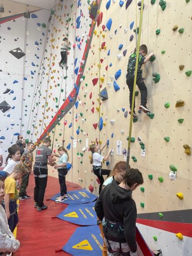 436a2b43-8915-4b66-b96c-18b4764d348b