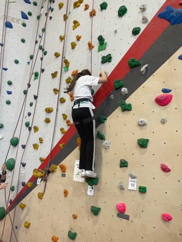 792ce178-2133-42d3-936e-d6adf94207f4