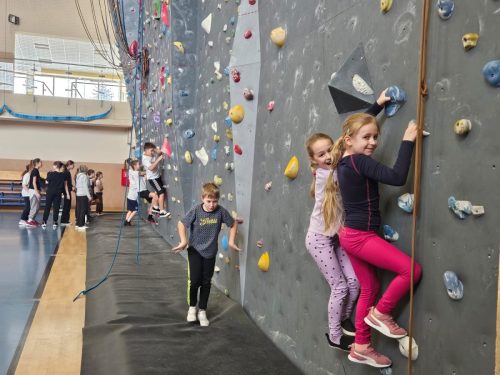 b9aad15d-4f95-4ece-842c-34bdf51ef2a2