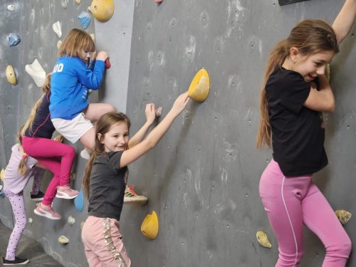 db0aa8bc-bda2-4baa-8e0c-9211f69fa3cd