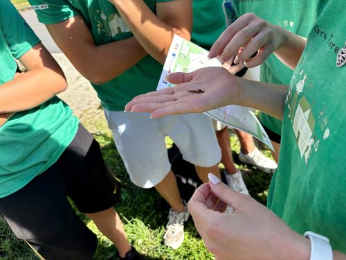 gra terenowa Pszenno013