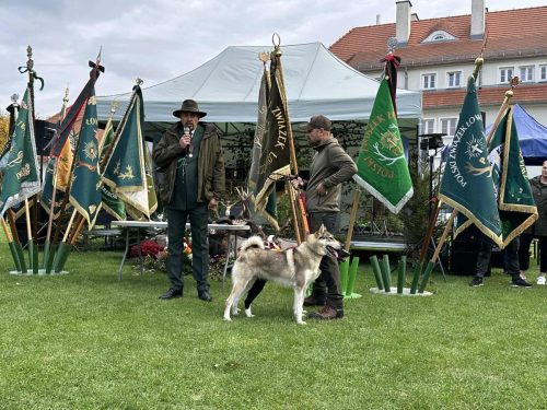 559236147 1266354752194480 918792609046288144 n