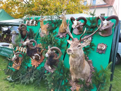 559393761 1266356112194344 5662706308880312828 n