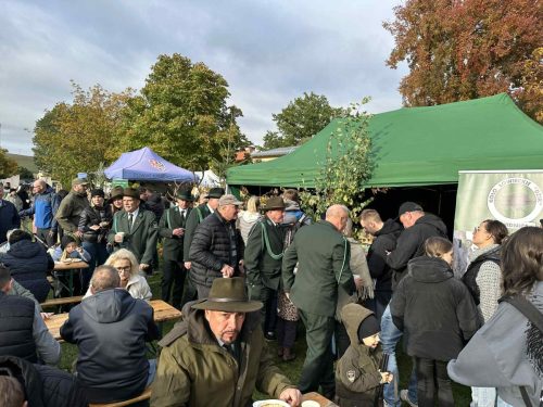 559451552 1266356505527638 954835769162159866 n