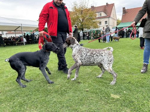 559835934 1266354948861127 3760199391266477061 n