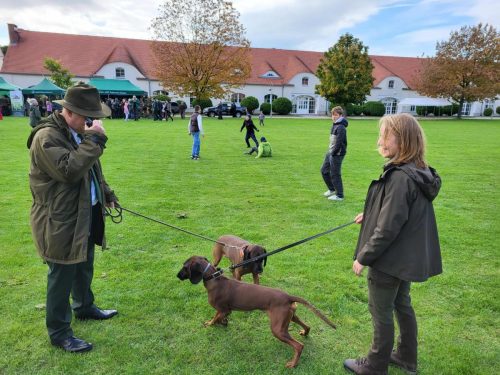 559863304 1266354262194529 4097079930957500647 n