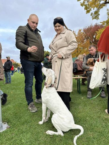 560116378 1266355138861108 4814205821060240623 n