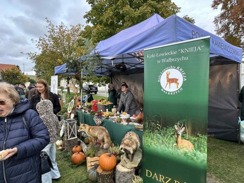 560137398 1266356408860981 7503140992989268950 n