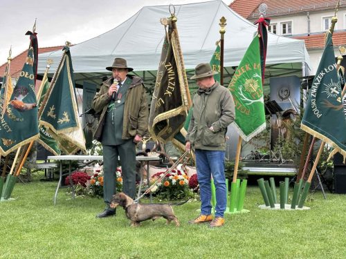 560571156 1266354488861173 6166095453839237316 n