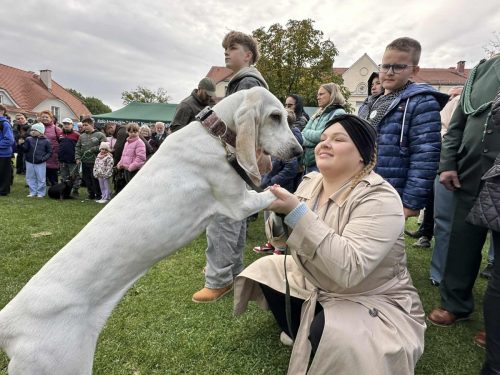 560636756 1266354795527809 7457579615158035517 n