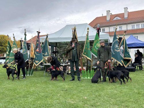 561031795 1266355342194421 627124939149226656 n