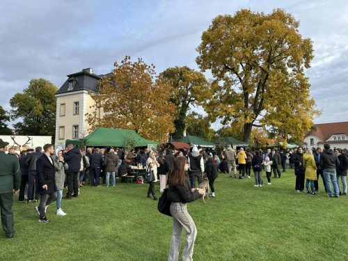 561087689 1266355835527705 3873680378921747819 n