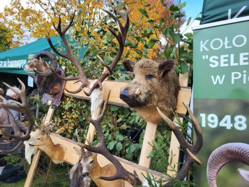 561350090 1266355938861028 7351478973468659819 n