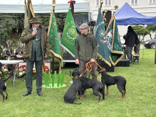 561357367 1266354198861202 8497466612535220348 n