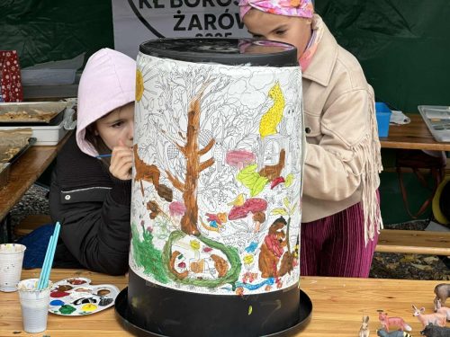 561365667 1266352625528026 6201983704519420586 n