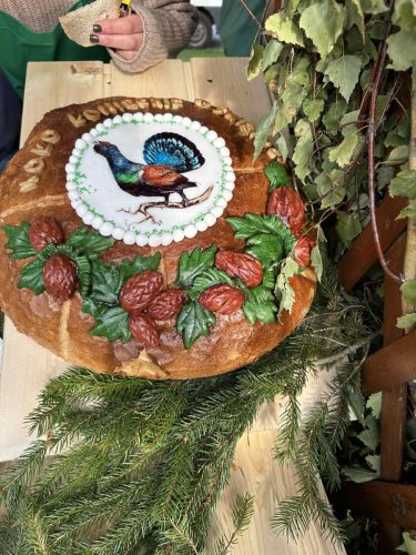 561372142 1266356045527684 3761694714977078482 n