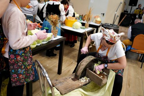 koszenie kapustyUG 01197