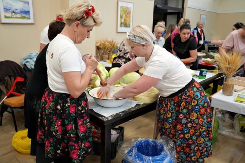 koszenie kapustyUG 01206