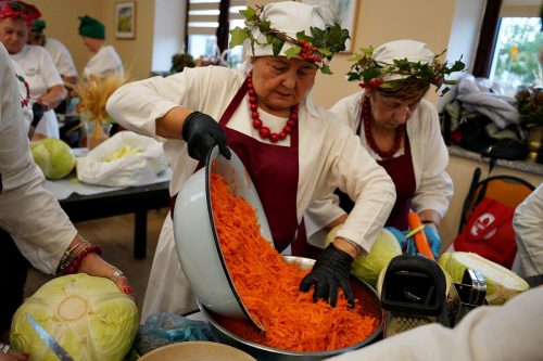 koszenie kapustyUG 01228