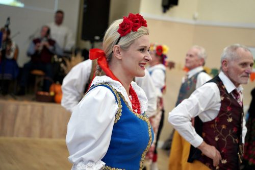 koszenie kapustyUG 01232