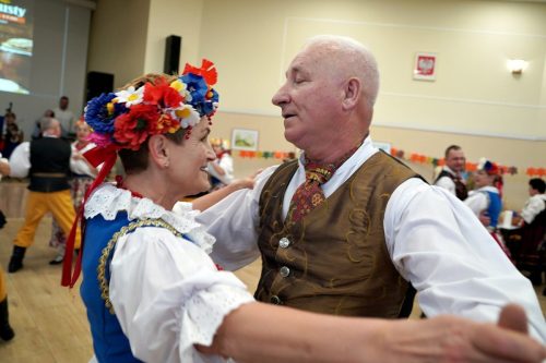 koszenie kapustyUG 01233