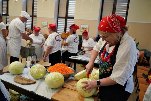 koszenie kapustyUG 01319