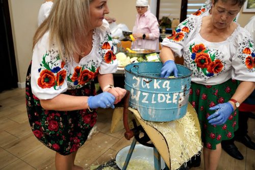 koszenie kapustyUG 01346
