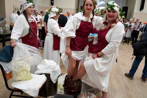 koszenie kapustyUG 01551