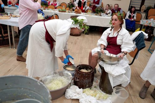 koszenie kapustyUG 01580