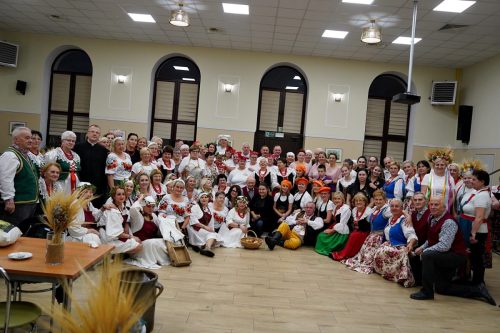 koszenie kapustyUG 01647