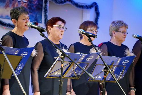koledowanie LESNICZOWKA126